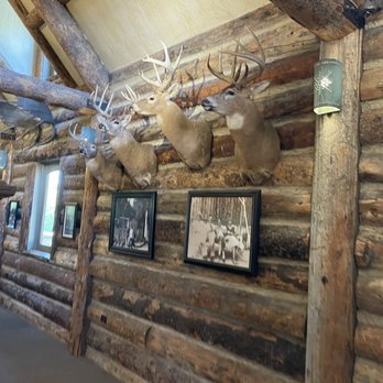 Big Cedar Lodge - Resorts Near Me - Ridgedale, Missouri