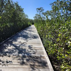 Upper Tampa Bay Conservation Park