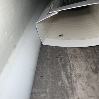 Olympus Boulevard - Bug trap - Apartments Near Me - Frisco, Texas