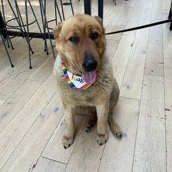 Bar Bella