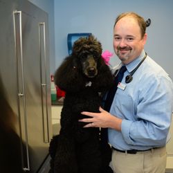 Norwalk Animal Hospital