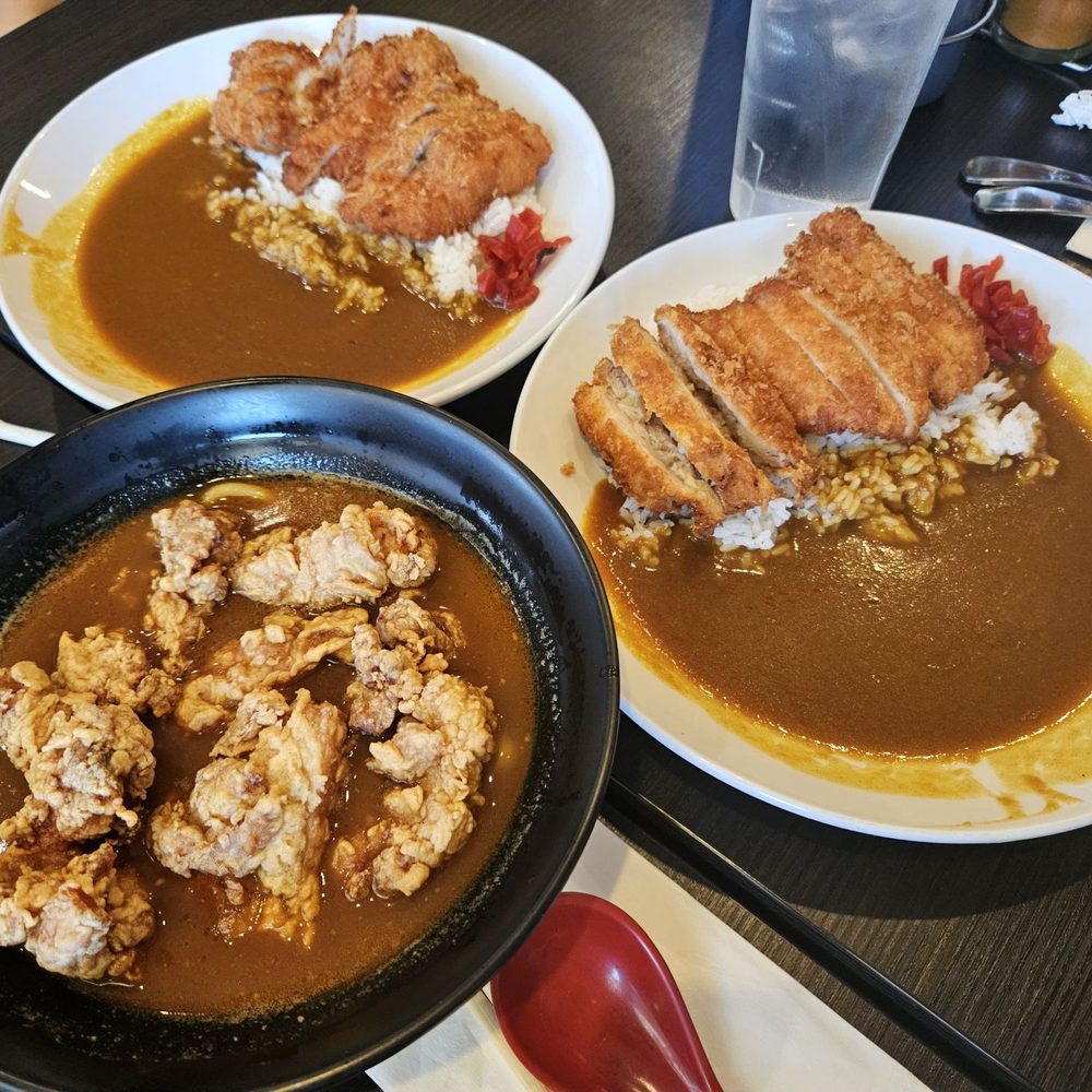 Top: pork katsu. Right: chicken katsu. Bottom: chicken karaage udon