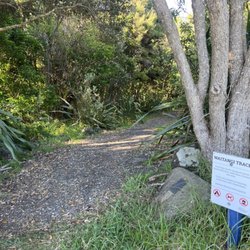 Bay Of Islands Cruise & Kayak - 11/12/23 Local attractions