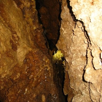Inner Space Cavern - Tours Near Me - Georgetown, Texas Inner Space Cavern - Tours Near Me - Georgetown, Texas