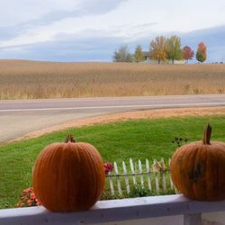 Peter's Pumpkins