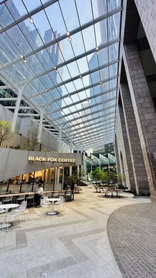 Black Fox Coffee by null