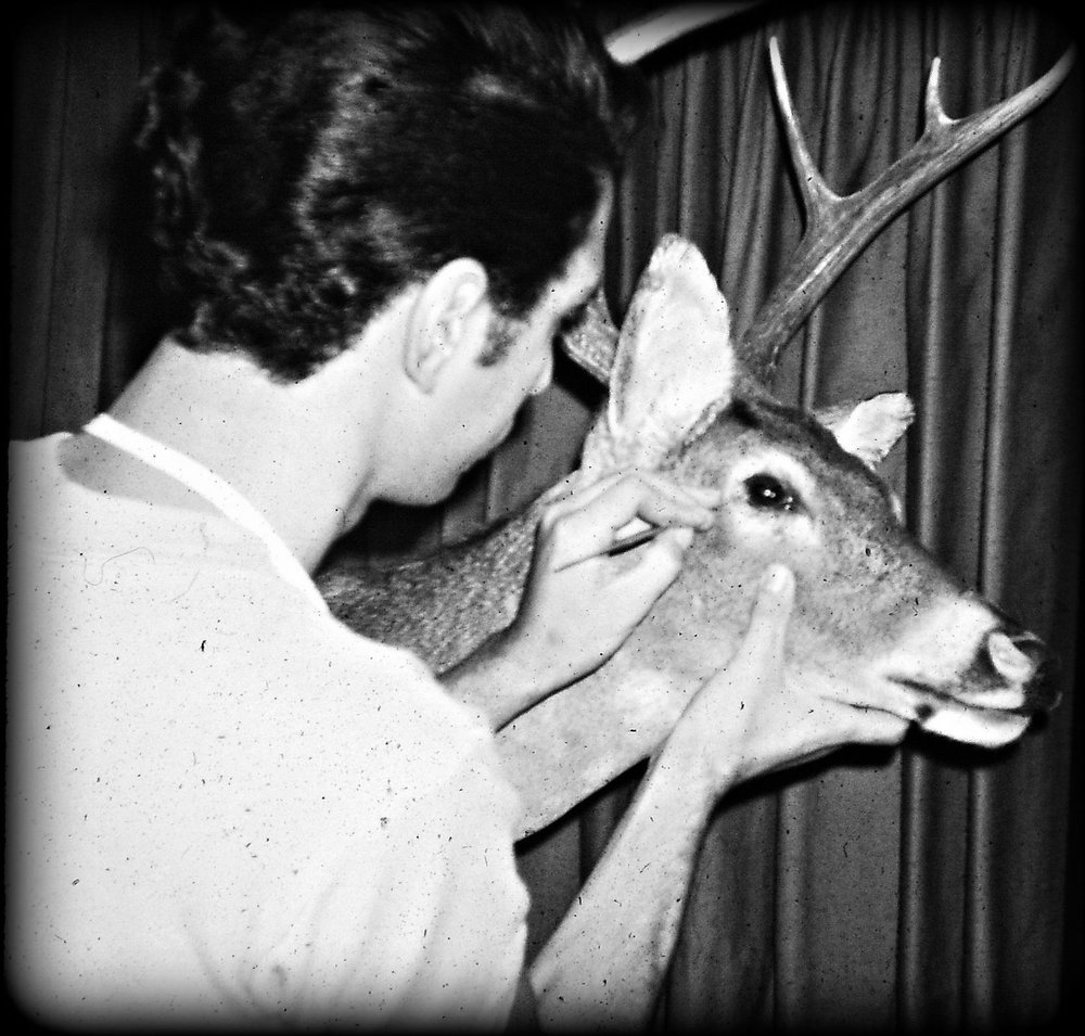 Taxidermy by Sonny Amato - taxidermy in Baton Rouge, LA