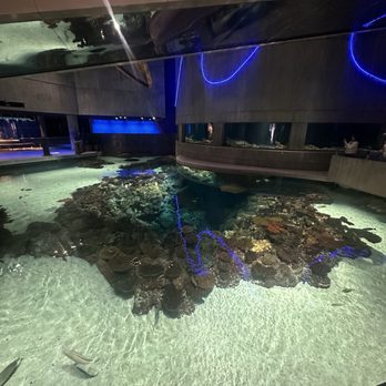 National Aquarium - Aquariums Near Me - Baltimore, Maryland National Aquarium - Aquariums Near Me - Baltimore, Maryland