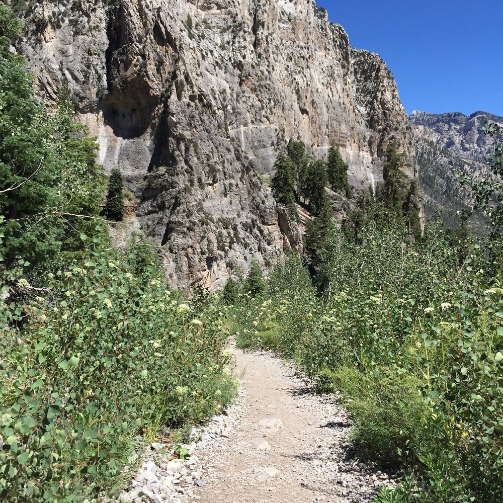 Cathedral Rock - The trail - Hiking Near Me - Mt Charleston, Nevada
