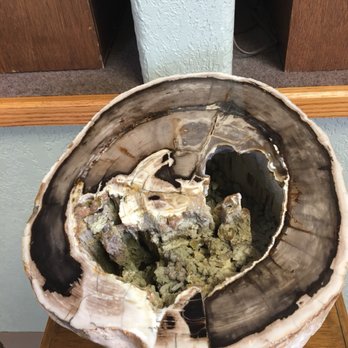 Petrified Wood Gallery - Art Galleries Near Me - Ogallala, Nebraska Petrified Wood Gallery - Art Galleries Near Me - Ogallala, Nebraska