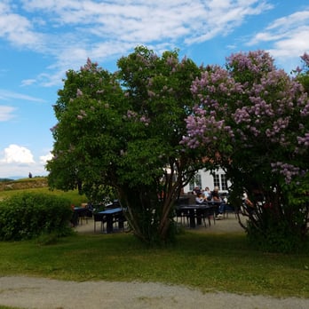 Restaurant Kommandanten - Nice view setting - Restaurants Near Me - Trondheim, 16