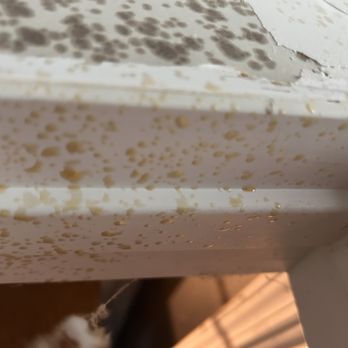 Peach Spray Foam - Insulation Installation Near Me - Douglasville, Georgia
