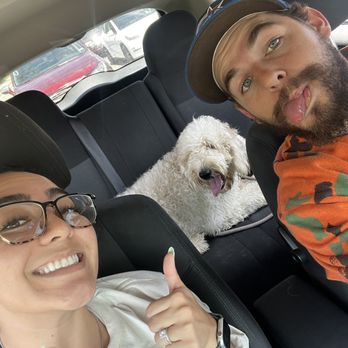 DogSpot - Just picked Sophie up from a weekend stay while we were out of town - Pet Training Near Me - Oceanside, California DogSpot - Just picked Sophie up from a weekend stay while we were out of town - Pet Training Near Me - Oceanside, California