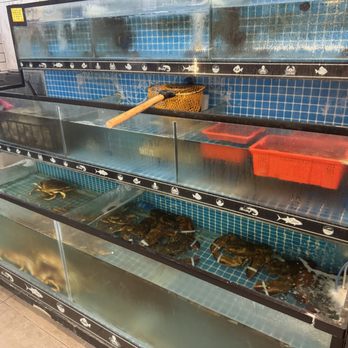 C & A Seafood - Live seafood - Fruits & Veggies Near Me - Plano, Texas C & A Seafood - Live seafood - Fruits & Veggies Near Me - Plano, Texas