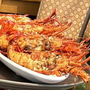 Playa Delfin - Lobsters so good! - Seafood Near Me - Puerto Nuevo, BCN Playa Delfin - Lobsters so good! - Seafood Near Me - Puerto Nuevo, BCN