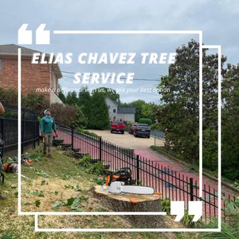 Elias Chavez Tree Service - We are a highly structured management team that allows us to streamline our processes, maintain constant communication, provide a high level - Tree Services Near Me Elias Chavez Tree Service - We are a highly structured management team that allows us to streamline our processes, maintain constant communication, provide a high level - Tree Services Near Me