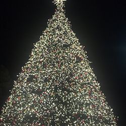 Winter Spectacular on St. Armands Circle