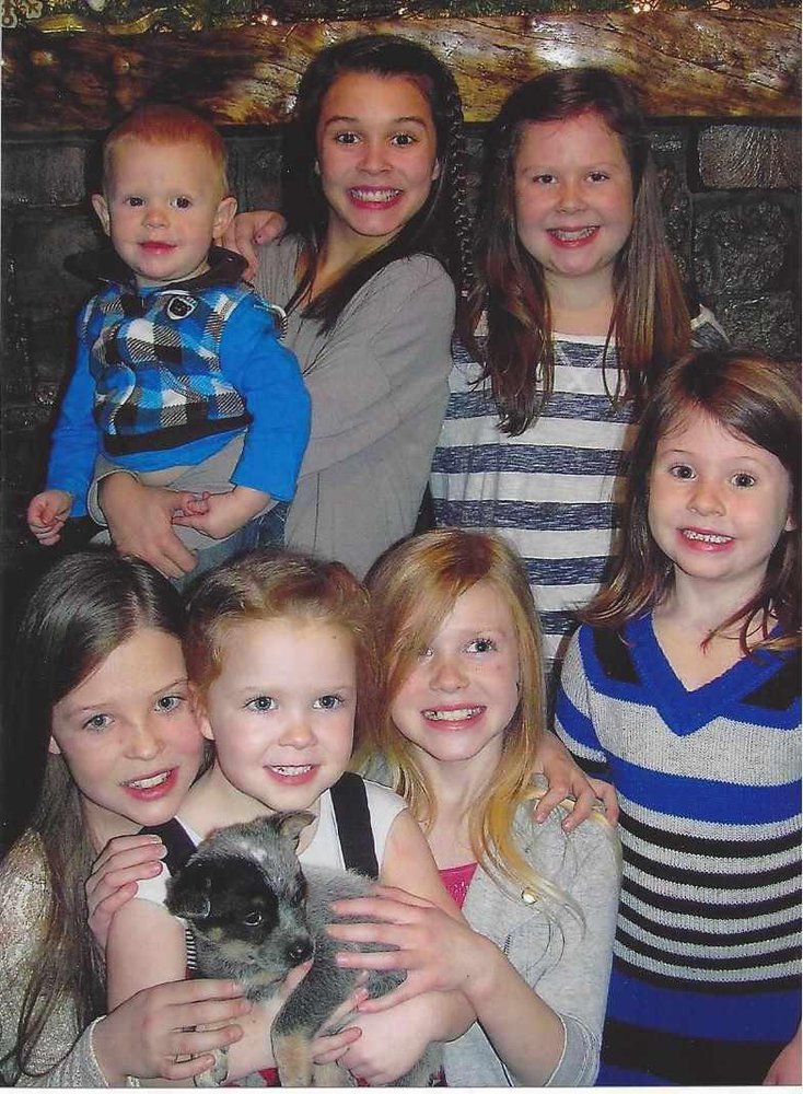 TAILS INN PET BOARDING KENNELS AND DAYCARE 2105 Montana Hwy 206