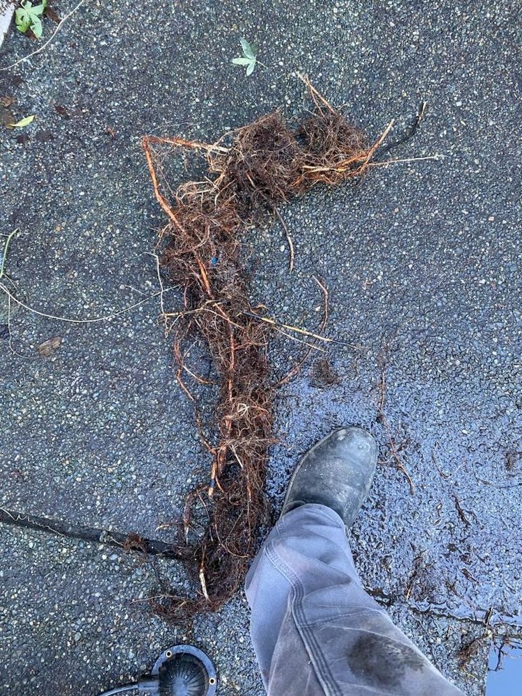 Slide of Wezee's Plumbing