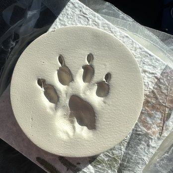 Only Cremations For Pets - Pet Transportation Near Me - Newport Beach, California Only Cremations For Pets - Pet Transportation Near Me - Newport Beach, California