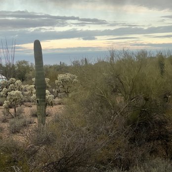 Gilbert Ray Campground - Outside the RV window - Campgrounds Near Me - Tucson, Arizona