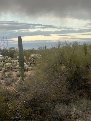 Gilbert Ray Campground by null