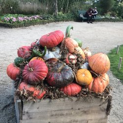 Jardin Botanique