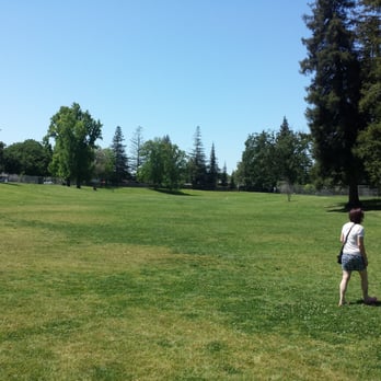 Vinewood Park - Dog Parks Near Me - Lodi, California