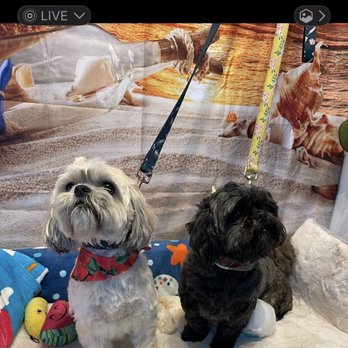 Bubbles And Bark - Pet Groomers Near Me - Hampton, Virginia Bubbles And Bark - Pet Groomers Near Me - Hampton, Virginia