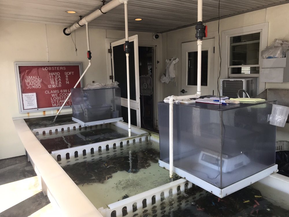 The Bait Shed, Scarborough Roadtrippers