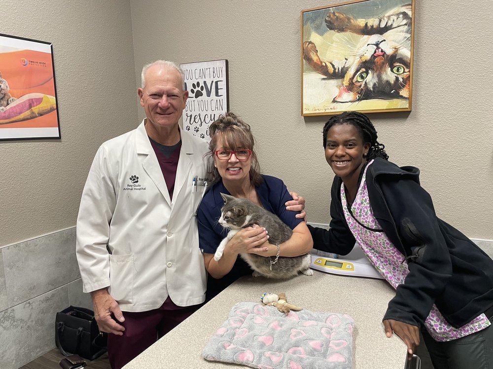 GULLY ANIMAL HOSPITAL OF GRAND PRAIRIE Updated April 2024 69 Photos & 28 Reviews 2942 W GULLY ANIMAL HOSPITAL OF GRAND PRAIRIE Updated April 2024 69 Photos & 28 Reviews 2942 W