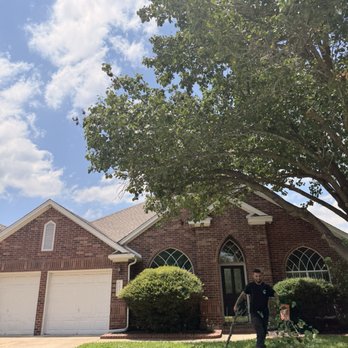 Texas Tree Doctors - Tree Services Near Me Texas Tree Doctors - Tree Services Near Me