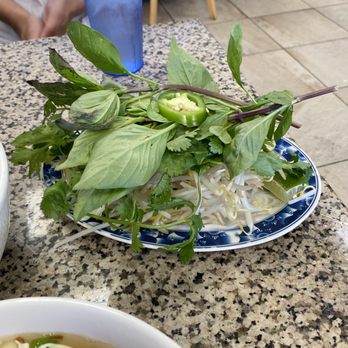 Pho Lee Hoa Phat - garnish plate - Vietnamese Near Me - Pleasant Hill, California Pho Lee Hoa Phat - garnish plate - Vietnamese Near Me - Pleasant Hill, California