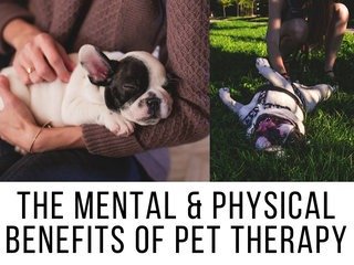 Trinity Counseling Services - grief counselor in Trinity, FL