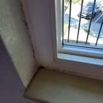 Motel 6 - Mold in the window - Hotels Near Me - Atascadero, California Motel 6 - Mold in the window - Hotels Near Me - Atascadero, California