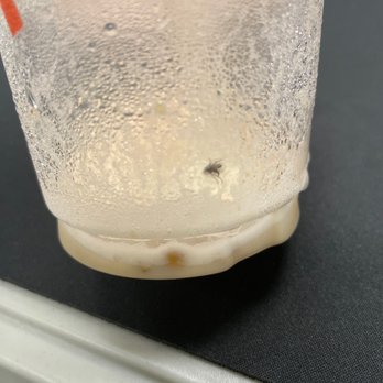 TeaTop - Bubble Tea Near Me - Newark, California TeaTop - Bubble Tea Near Me - Newark, California