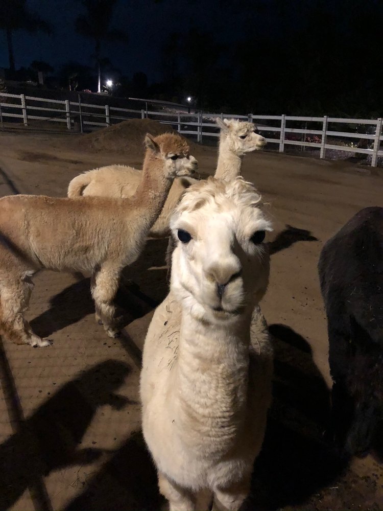 TEMECULA CREEK VETERINARY Updated October 2024 27 Photos & 64