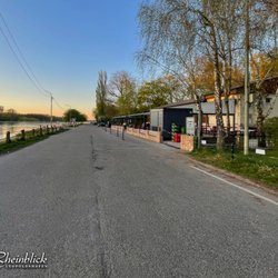 Rheinblick