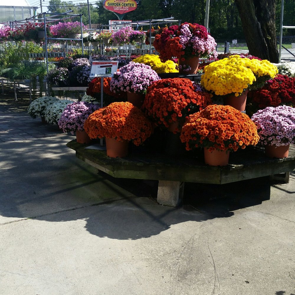 Pandy's Garden Center - Nurseries & Gardening Near Me - Elyria, Ohio Pandy's Garden Center - Nurseries & Gardening Near Me - Elyria, Ohio