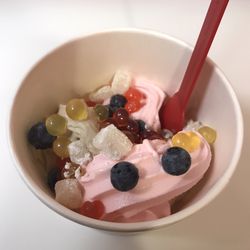 Redberry Frozen Yogurt