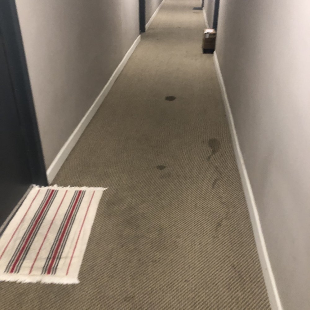 Bay on 6th - Dirty carpeting - Apartments Near Me - Santa Monica, California Bay on 6th - Dirty carpeting - Apartments Near Me - Santa Monica, California