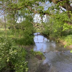Taylor Fork Ecological Area