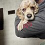 Photo of Complete Canine Care Centre