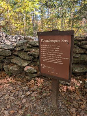 Bradbury Mountain State Park by null