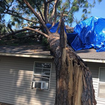 Acadiana Tree Service & Removal - Recent tree from storm. Removed same day! - Tree Services Near Me Acadiana Tree Service & Removal - Recent tree from storm. Removed same day! - Tree Services Near Me