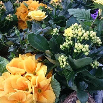 Ancher's Havecenter - Sammenplantninger til påske - Nurseries & Gardening Near Me - Greve, 84