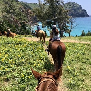 CJM Stables - Horseback Riding Near Me