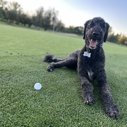Lakeridge Golf Course