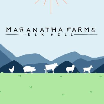 Maranatha Farms - a herd of sheep in a field - Ranches Near Me - Forest, Virginia Maranatha Farms - a herd of sheep in a field - Ranches Near Me - Forest, Virginia