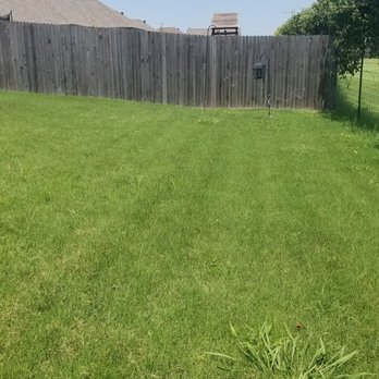 Lawn Tech - a view of a fenced in yard - Landscaping Near Me - Cleburne, Texas Lawn Tech - a view of a fenced in yard - Landscaping Near Me - Cleburne, Texas
